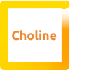 Choline
